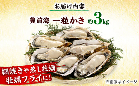 【2026年1月中旬より順次発送】 豊前海 一粒かき 約3kg 吉富町/南水産[BGBD002]