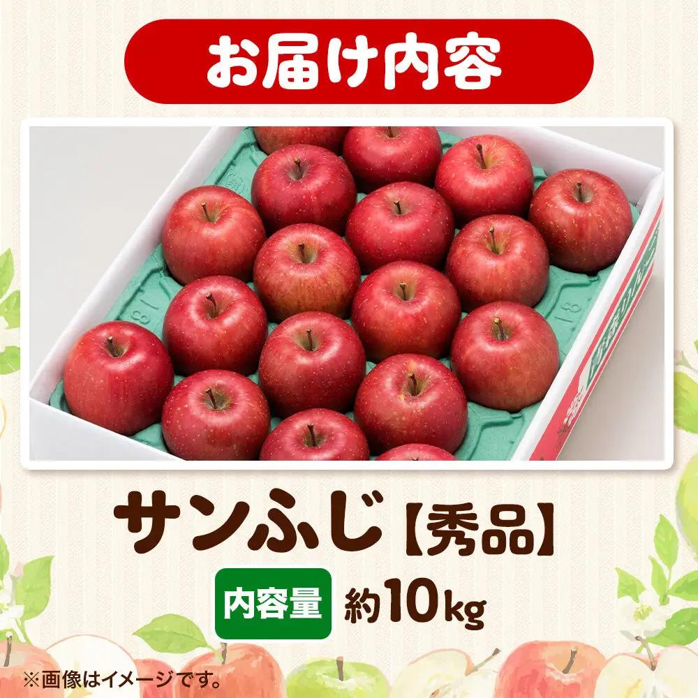 りんご サンふじ 約10kg 【秀品】りんご