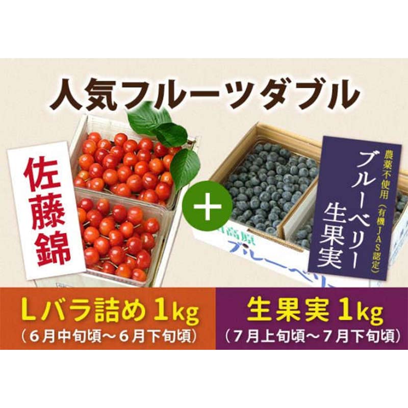 【ふるさと納税】 《先行予約 2025年度発送》山形人気フルーツダブル（さくらんぼ佐藤錦1kg &ブルーベリー生果実1kg） FSY-0149