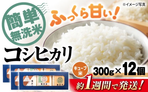 【スピード発送】【令和7年産】コシヒカリ 無洗米 キューブ 2合[300g×12個] 長浜市/阿辻農園[AQAW011] コシヒカリ こしひかり 無洗米 真空パック 米 お米 小分け 魚のゆりかご水田 長浜市産 こめ 玄米 白米 精米 お米  食品 ふるさと納税 国産 炊きたて 米ギフト ブランド米  食卓 美味しい  人気 ごはん ご飯 おにぎり 炊き込みご飯 おすすめ プレゼント 贈答