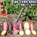 【ふるさと納税】じゃがいも食べ比べセット5kg　じゃがいも　食べ比べ　無農薬　新鮮　産地直送　季節限定