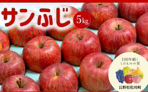 AS09-25A りんご サンふじ（松川町産）秀品 約5kg ／2025年11月中旬頃～12月上旬頃 配送予定 // 長野県 南信州 松川町 ギフト りんご リンゴ 林檎 サンふじ サンフジ 贈答