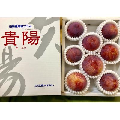 ふるさと納税 中央市 貴陽(すもも)約1.5kg(8〜9玉) |  | 01