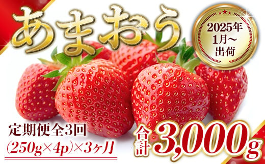 
定期便全3回 福岡県産 あまおう 合計3000g 先行予約 2025年1月より順次発送　BA008
