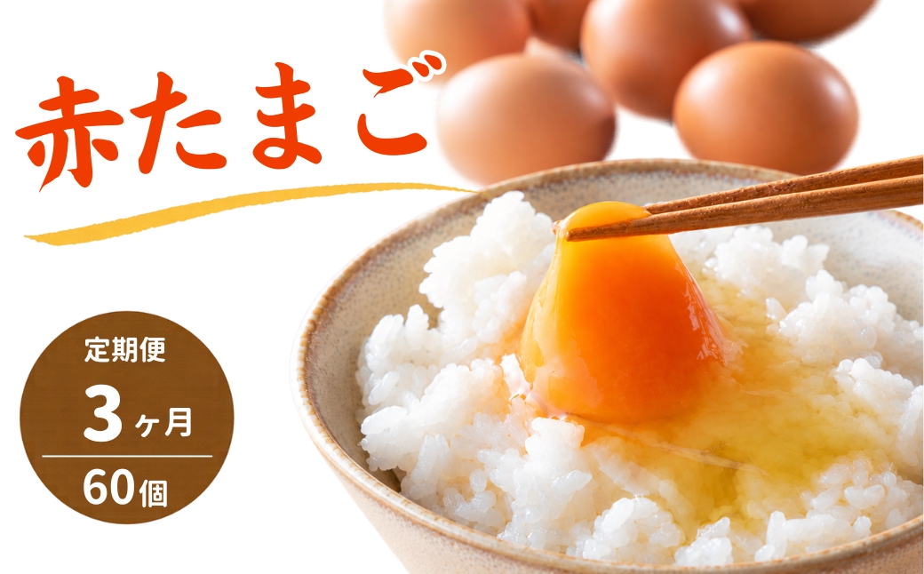 【3回定期便】キムラファームの産みたて卵 赤たまご60個（Mサイズ）産みたてたまご たまご 卵 玉子 タマゴ 鶏卵 オムレツ 卵かけご飯 たまご焼き 新潟県 五泉市