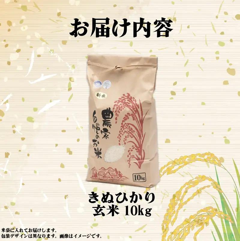 【先行予約】令和8年産 新米 キヌヒカリ 10kg 玄米  米 【KW018】 近江米