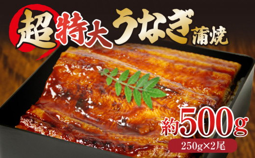 うなぎ 蒲焼き 500g 特大 250g×2尾 タレ付き 冷凍 小分け 特上うなぎ うなぎ 料亭 肉厚 ふっくら 香ばしい うなぎ蒲焼き 鰻蒲焼 養殖鰻 養殖うなぎ 温めるだけ 簡単調理 うな重 うな丼 土用 丑の日 ふわふわ パリパリ 手焼き ご飯 米 丼 お歳暮 ギフト プレンゼント 贈答 【 北海道・東北・沖縄・離島への配送不可 】
