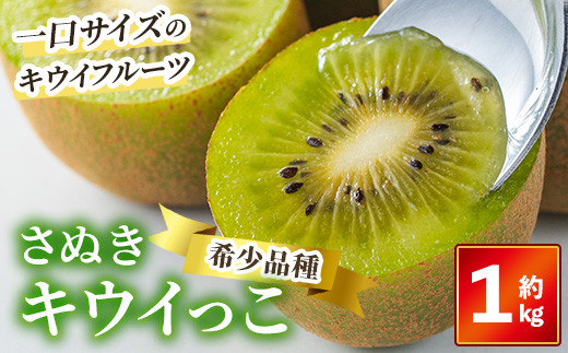 ＜先行予約！2026年11月中旬以降順次発送予定＞ さぬきキウイっこ(約1kg) 【man179】【Aglio nero】