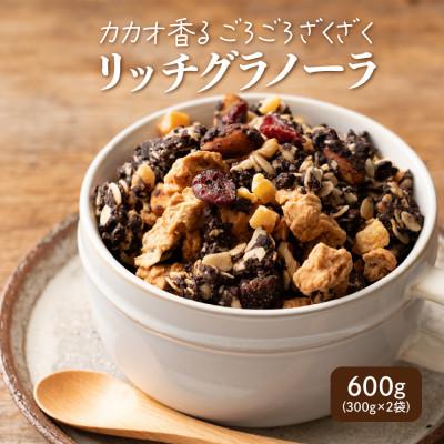 ふるさと納税 静岡市 雑穀米本舗 贅沢リッチグラノーラ 600g(300g×2袋)小麦不使用 はちみつの優しい甘み