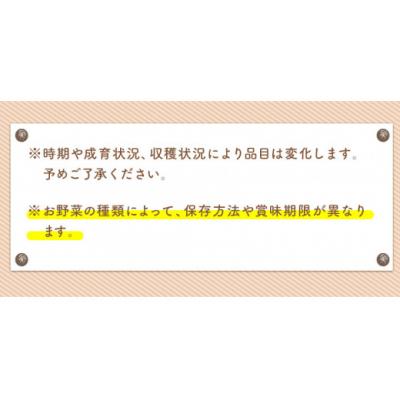 ふるさと納税 氷川町 【6ヶ月定期便】 旬の新鮮野菜・果物詰合せセット (計6回お届け)たっぷり10-15品目 |  | 03