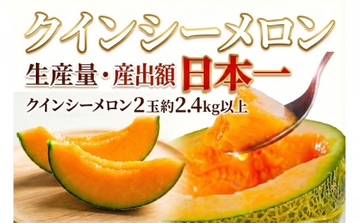 【 クインシー メロン 】＼ 生産量 日本一 ！／ クインシーメロン （2玉 入り1箱）計2.4kg以上 メロンの村田 赤肉 追熟 産地直送 メロン めろん 定番 ギフト プレゼント 贈り物 国産 フルーツ 果物 茨城 鉾田市 メロンの村田 mmr011