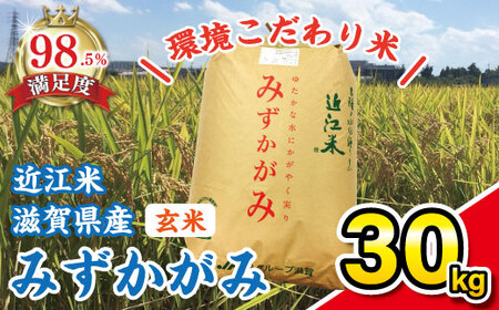 令和7年産 玄米 みずかがみ 30kg 環境こだわり米 【K073W】 近江米