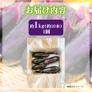 なす 約1kg 約10本 高知県安芸市｜ナス AR003