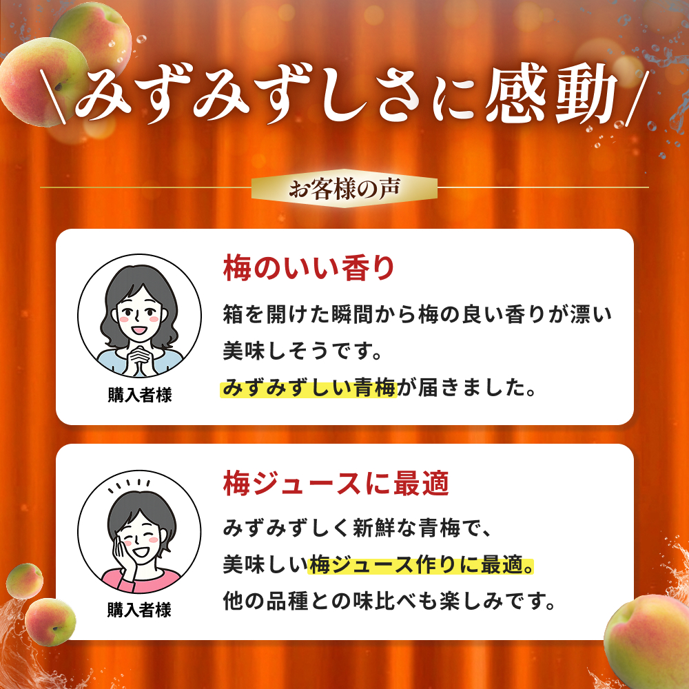 【期間限定・2026/5/15まで】中山農園の南高梅　完熟梅1kg※2026年6月中旬から順次発送予定※ / 紀州南高梅 梅干 梅ジュース 梅酒 和歌山県 【nak020-1】