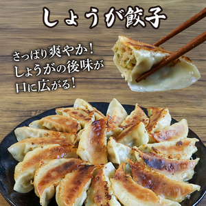 【京都餃子 一条】餃子2種セット「にんにく餃子・しょうが餃子」180個 餃子 冷凍餃子 惣菜餃子