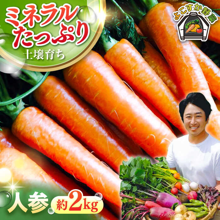 【ふるさと納税】【先行予約】人参セット 約2kg 【鈴也ファーム】[AKCE013] 8000円 8千円 8千