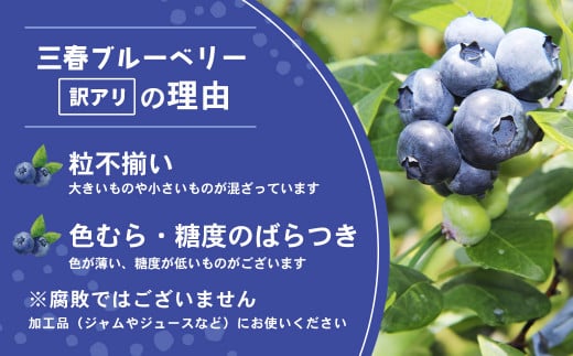 【訳アリ】三春冷凍ブルーベリー 1kg×1袋【三春町産 冷凍ブルーベリー 大粒 福島県 三春町 三春ブルーベリー倶楽部 有機質肥料 果物 国産 フルーツ 果実 自宅用】【07521-0109】