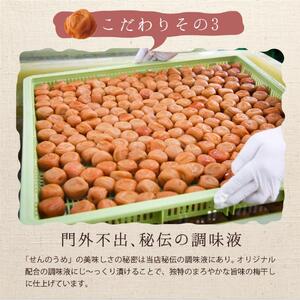 【A級品】紀州南高梅 黒潮梅 1kg 塩分10％ / 梅干し 梅干 うめぼし 南高梅 国産 梅 うめ ウメ 完熟 しそ 紫蘇 シソ かつお 鰹 カツオ 健康 ご飯のお供 昔ながら 贈り物 ギフト プレ