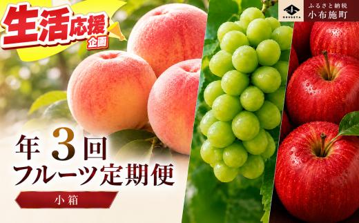［3回定期便］ 信州のフルーツ3回コース 小箱 ［小布施屋］ 定期便 先行予約 フルーツ 数量限定 白桃 シャインマスカット ぶどう りんご お楽しみ 3回お届け 長野県産 信州産 令和8年産 【2026年7月～12月発送】[A-309]