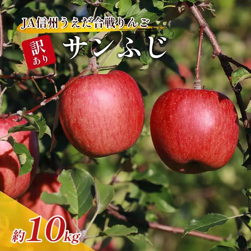 りんご JAうえだ 訳あり 約10kg ふじ 果物 くだもの りんご