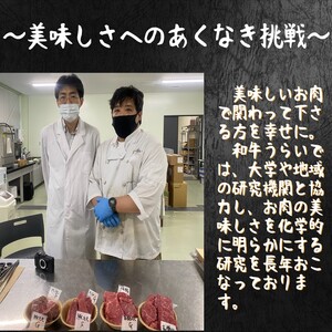 【肉のまち かこがわ】黒毛和牛 赤身モモ スライス 250g×2 《 黒毛和牛 和牛 赤身モモ 赤身 お肉 薄切り 》【2401A00622】