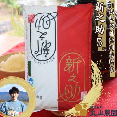 ふるさと納税 阿賀野市 【令和8年産新米先行受付】【新潟県認証米】 5kg 特別栽培米 新之助