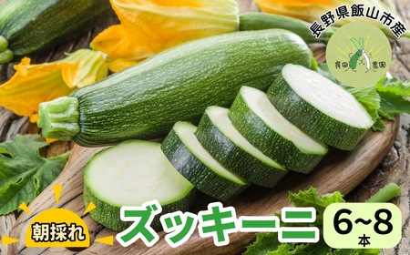 朝採れ !!新鮮 ズッキーニ （約6～8本） 【期間限定】 (７-A9) 長野県 飯山市 おすすめ ランキング おいしい 高評価 大人気 ズッキーニ ズッキーニ ズッキーニ ズッキーニ ズッキーニ