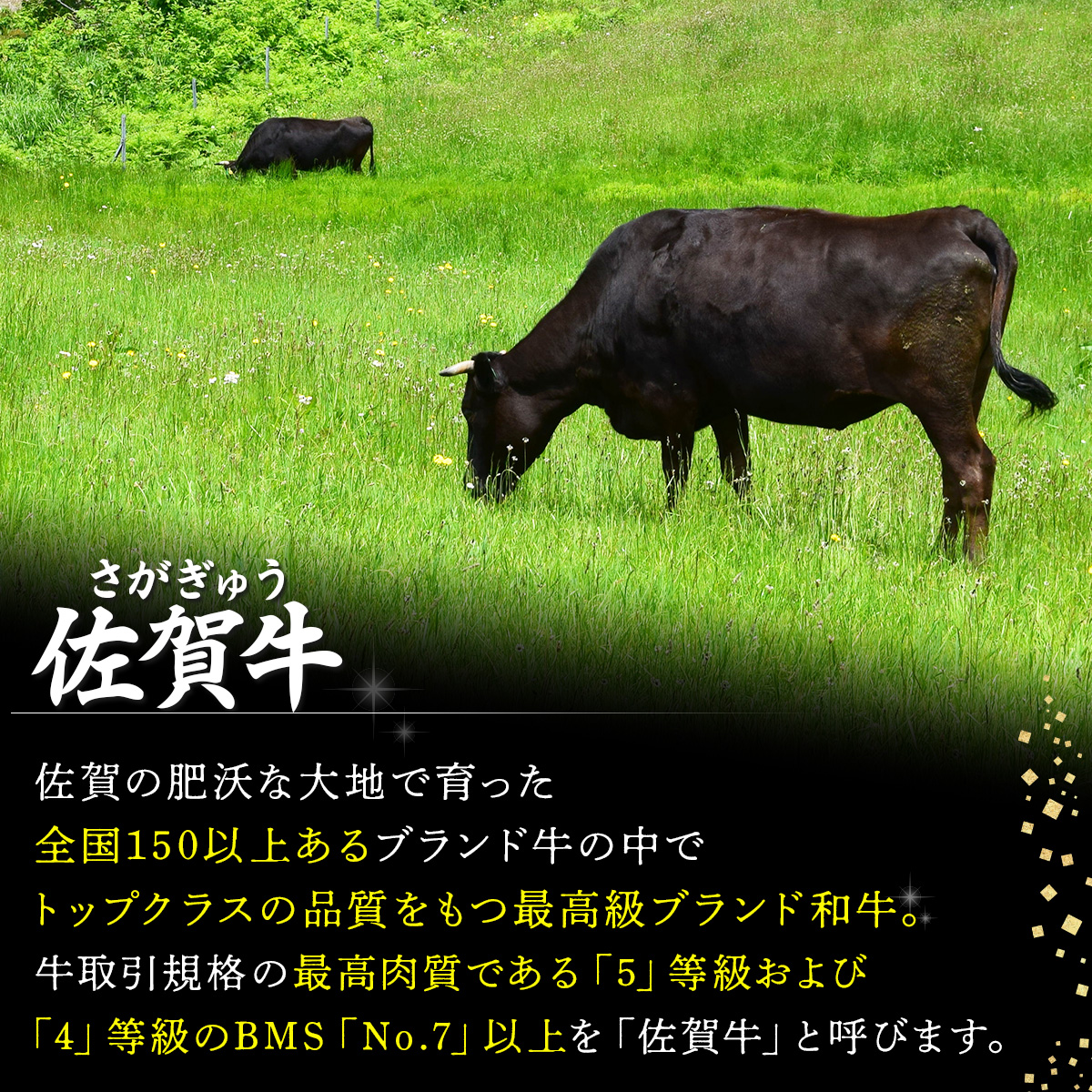 佐賀牛｢みすじブロック｣ 2000g
