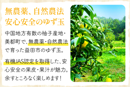 A-78 【有機JAS認定】無農薬ゆず玉　5kg