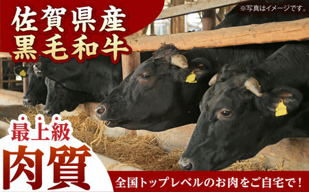 佐賀県黒毛和牛ホルモン（味噌ダレ）500g HAD109 ホルモン