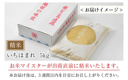 【令和5年産】いちほまれ 精米 5kg×1袋《お米マイスターが発送直前に精米！》／ 福井県産 ブランド米 ご飯 白米 新鮮 