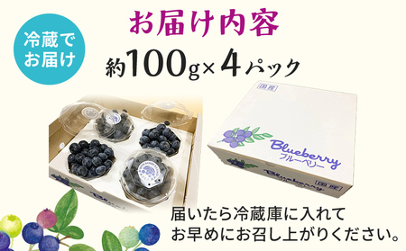 林さんちの完熟ブルーベリー 約100g×4パック 100g ブルーベリー フルーツ 果物 甘い ギフト 贈り物 厳選 オニール トワイライト ユーリカ