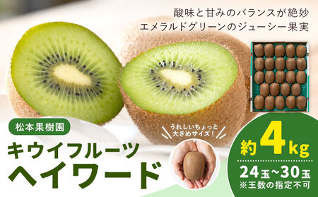 先行予約 キウイフルーツ ヘイワード 約4kg 松本果樹園《2026年12月中旬-2027年1月末頃出荷予定》茨城県結城市
