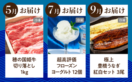 穂の国の恵み どうまい 定期便 Aコース 鴨 鴨肉 鍋 セット むき海老 エビ 姫牛 牛 牛肉 フローズンヨーグルト アイス うなぎ 鰻