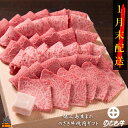 【ふるさと納税】《2025年1月末配送》徳之島が世界に誇る“のざき牛”特選焼肉ギフト ( 年末 年始 黒毛和牛 春 ご馳走 最高級 お正月 家族 パーティー 美味しい 絶品 プレミアム 焼肉 )