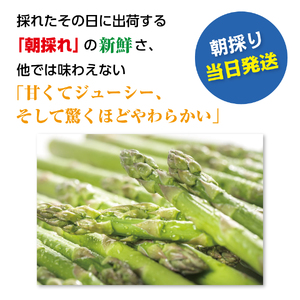 【2024年6月発送】北海道上ノ国町産 寅福菜園の朝採れ当日発送6月限定アスパラ L（1㎏）　グリーンアスパラ　とれたて　朝採れ　産地直送　ハウス栽培　甘い　みずみずしい　期間限定　先行予約