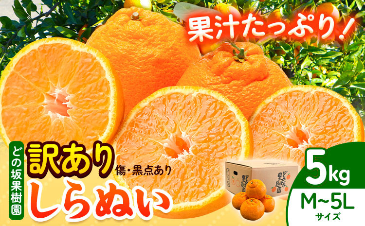
                  訳あり 不知火 ( デコポン と同品種 ) しらぬい 約 5kg (M～5Lサイズ) どの坂果樹園《2027年2月上旬-4月上旬頃出荷》 和歌山県 日高川町 しらぬい 不知火 デコポン でこぽん 旬 果物 フルーツ 柑橘 産地直送 訳あり不知火 訳ありデコポン デコ 送料無料 st-p
                