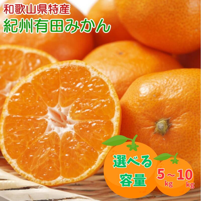 【ふるさと納税】 [秀品] 和歌山有田みかん 【選べる容量】約5kg 約9kg 約10kg ※2025年11月中旬～2026年1月中旬頃に順次発送予定(お届け日指定不可) / みかん 有田みかん 柑橘 フルーツ 果物 和歌山 オレンジ ミカン 人気 予約販売 おすすめ柑橘 くだもの