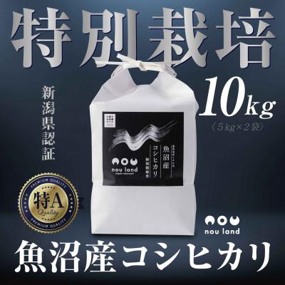 ふるさと納税 十日町市 【令和7年産 新米予約】 農家直送 魚沼産 コシヒカリ 特別栽培米 10kg  十日町市 のうランド