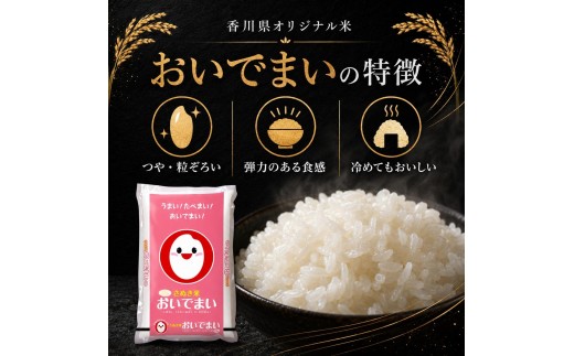 
                  おいでまい 香川県産 10kg 10キロ お米 米 白米 精米 精白米 こめ ごはん ご飯 炊飯 粘り 旨み 艶 つや 透明感 粒ぞろい 香川県オリジナル品種 ブランド米 国産米 お取り寄せ 贈答 ギフト プレゼント 内祝い 五色青果 香川 香川県 綾川町
                