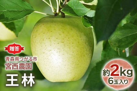 [贈答用] 王林【約2kg 6玉入り】芳醇な香りの青りんご｜青森 リンゴ [0679]