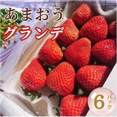 【2027年2月より順次発送】あまおう6パックセット (約250-270g×6パック)(宇美町)【配送不可地域：離島】