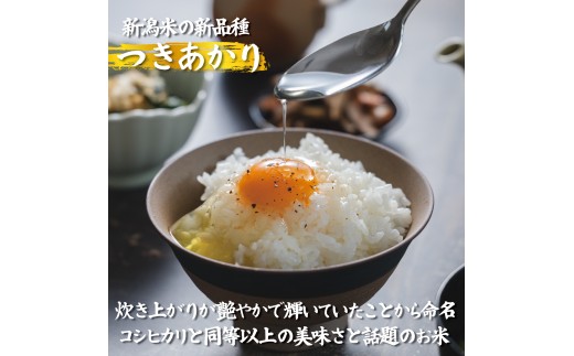 【令和8年産】つきあかり 5kg コシヒカリ こしひかり 同等以上の食味 ご飯 備蓄 コメ お米 米 こめ 新潟産 新潟米 新潟県 新潟 新発田 新発田市 国産 新発田市産 斗伸 toushin064