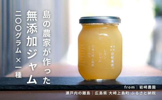 大崎上島産 島の農家が作った無添加の手作りジャム200g×1本