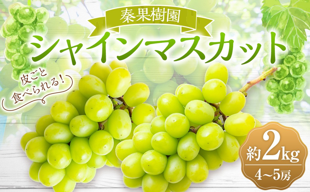 
            【先行予約】 秦果樹園 シャインマスカット 4～5房 （約2kg） 【2026年8月下旬～9月上旬より順次発送予定】 葡萄 ぶどう ブドウ 種無し 種なし 果物 くだもの フルーツ 果実 お取り寄せ 福岡県 うきは市 冷蔵
          