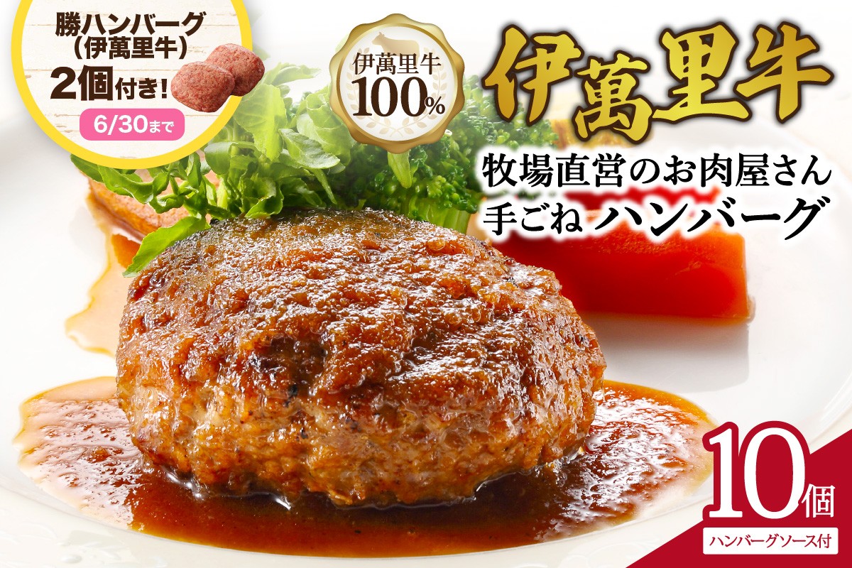 
                  【企業努力】伊萬里牛100% 手作り 勝ハンバーグ 10個＋2個 007-J1830【伊万里牛 国産 黒毛和牛 牛肉100% 冷凍 個包装 ソース付き 焼くだけ】
                