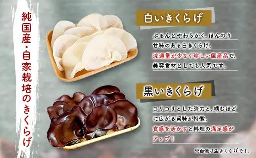 国産 乾燥きくらげ （黒・白）食べ比べセット 計48g きのこ 希少 MONOQLO【C455】