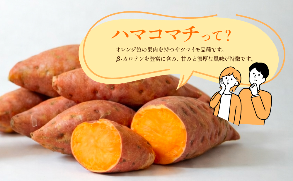 【本格芋焼酎】吹上焼酎 はまこ長期貯蔵（1.8L×2本）一升瓶 本格焼酎 いも焼酎 芋焼酎 はまこ はまこまち お湯割り ロック 水割り ソーダ割り こだわり 匠の技 おすすめ 人気 25度 家飲み 