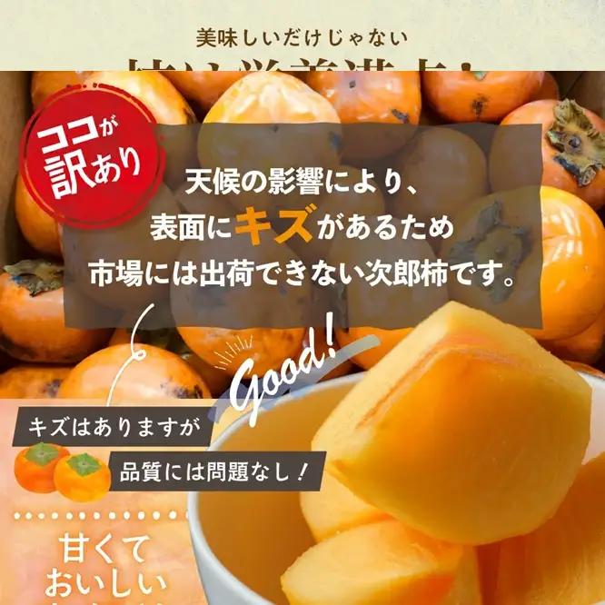 柿【2026年度発送分】きんちゃん農園のたねなし柿(家庭用・訳あり)約10kg【KCN-03】