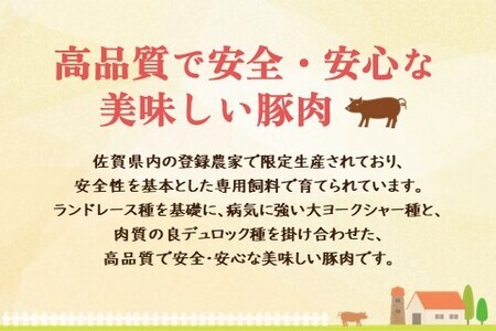 肥前さくらポーク詰合せCセット(さくらポークとんかつ5枚・生姜焼き500g・焼肉用300g)【JA トンカツ 生姜焼き 美味しい やわらか ジューシー 安全 高品質 ビタミン タンパク質豊富 限定生産